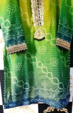 Ladies Ready to Wear Digital Printed with Embroidery Pakistani Chiffon Dress in UAE